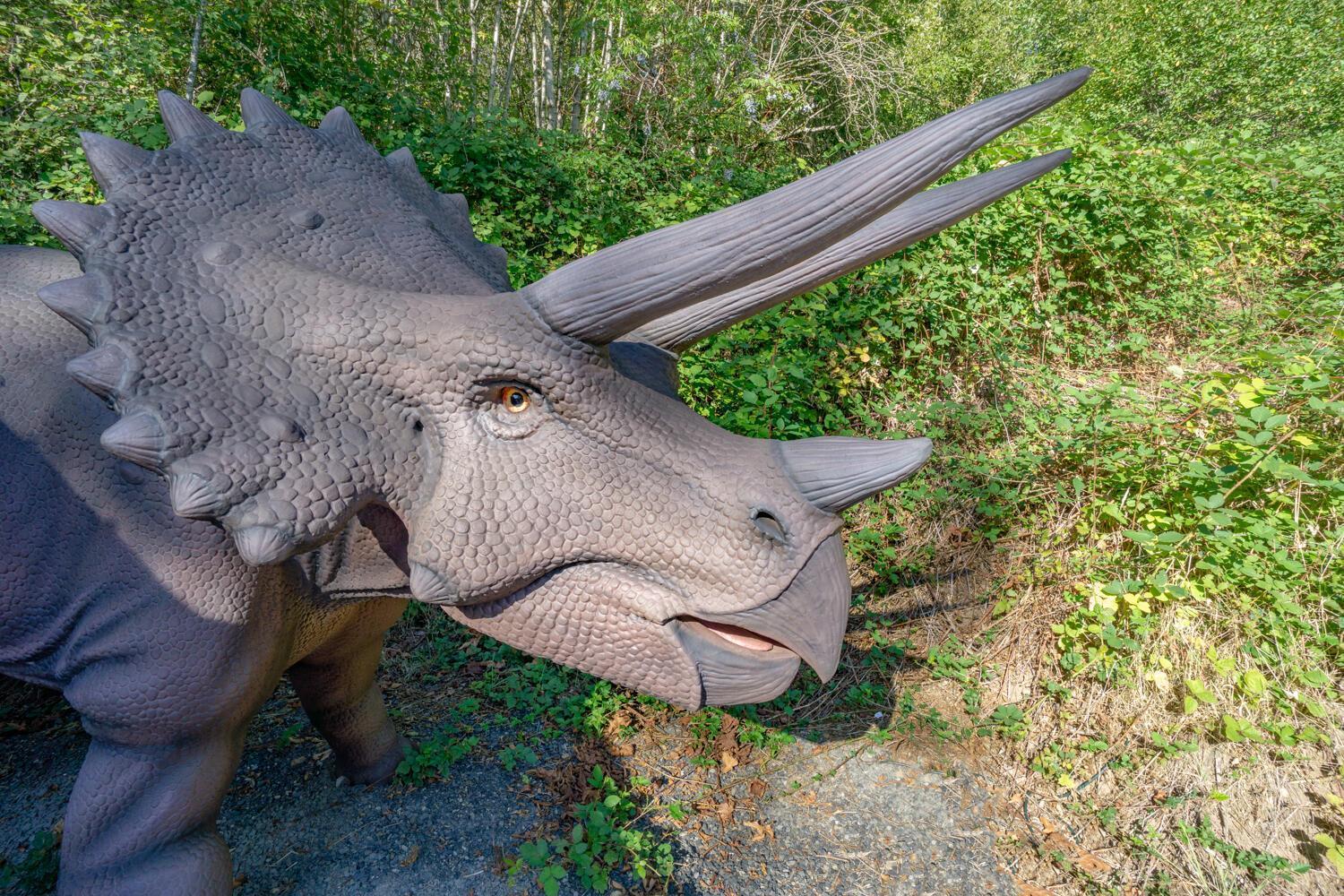 Jurassic Rebirth Out On Jul 2 - Book Your Stay Now (Adults Only) Washougal Exterior photo
