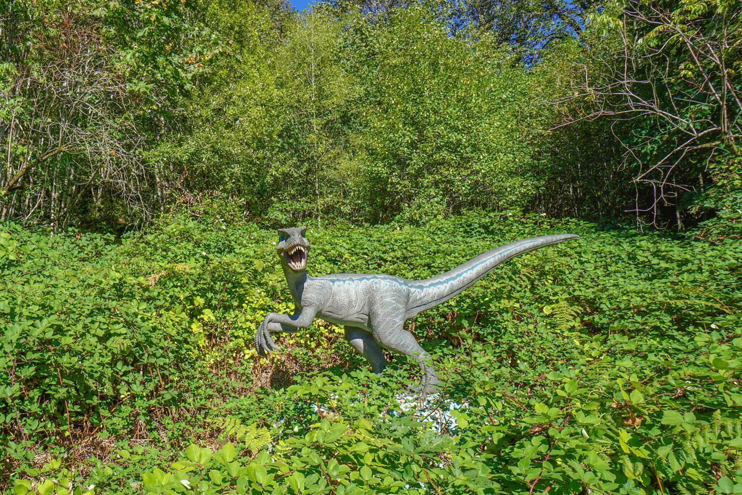 Jurassic Rebirth Out On Jul 2 - Book Your Stay Now (Adults Only) Washougal Exterior photo