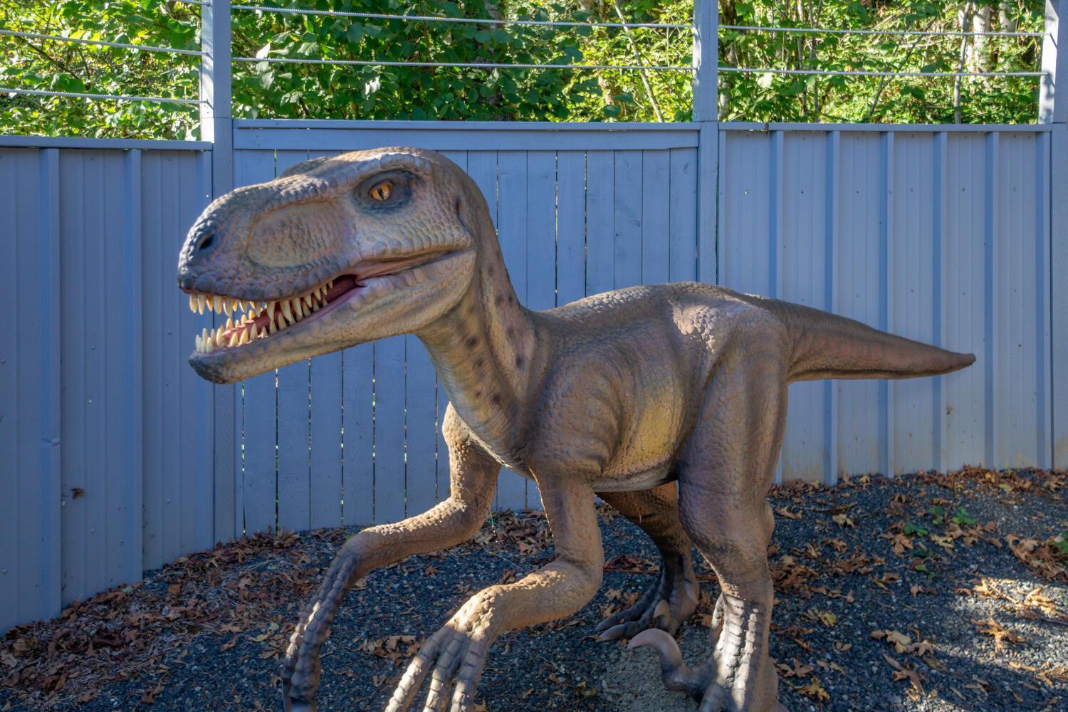 Jurassic Rebirth Out On Jul 2 - Book Your Stay Now (Adults Only) Washougal Exterior photo